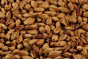 The_Hoppy_Brewer_Briess 80L Crystal Malt_0